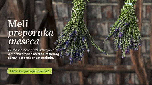 Novembarske preporuke – za respiratorno zdravlje u prelaznom periodu